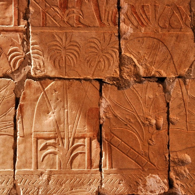 Antik metinlerde adı geçen ancak arkeologların henüz bulamadığı yedi kayıp şehir.