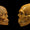 Modern İnsan ve Neandertal İlk Olarak 100.000 Yıl Önce Çiftleşti