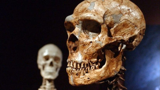 Neandertaller Kendi Ateşini Yakabiliyordu