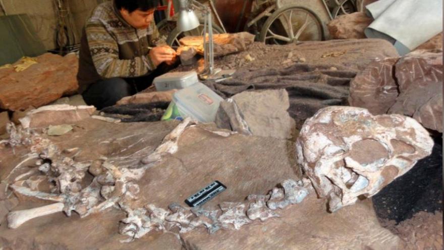 Arjantin’de 110 milyon yıl öncesine ait dinozor fosilleri bulundu