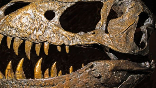 Dinozorlar düşünülenden daha erken ve İngiltere’de ortaya çıkmış olabilir