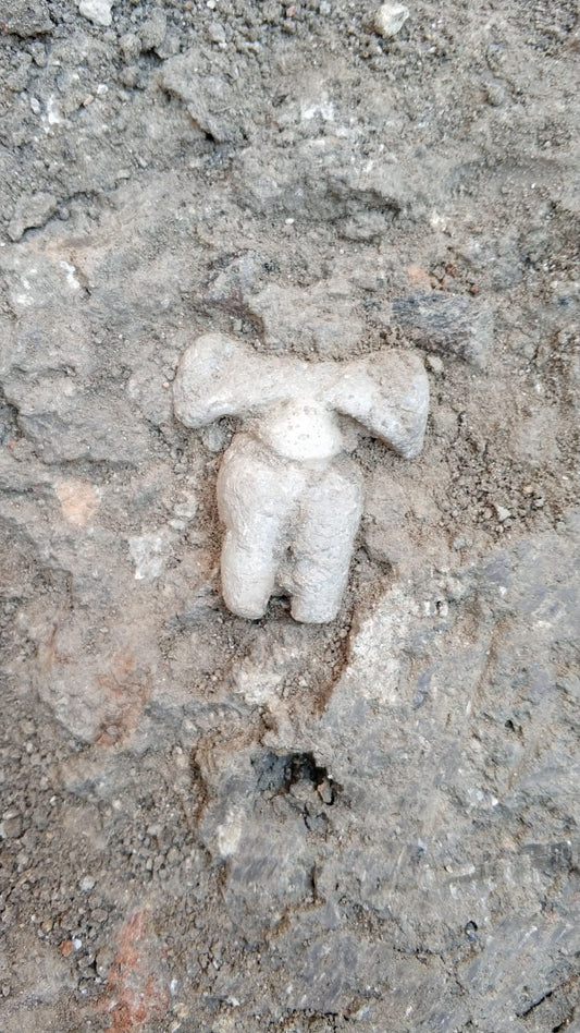 İzmir Yeşilova Höyüğü'nde 8 bin 200 yıllık ana tanrıça heykelciği bulundu