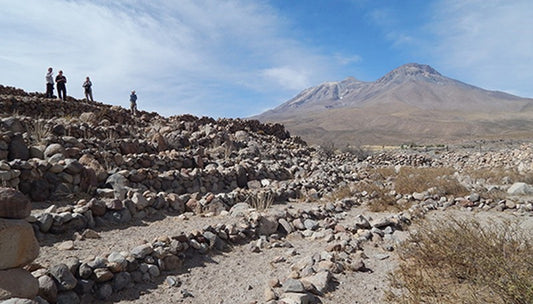 Dünyanın En Kurak Çölü Atacama’da Tarım Nasıl Yapıldı?