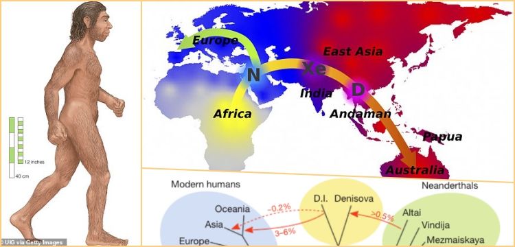 Neandertal ve Denisovan aşkı Yapay Zeka ile de kanıtlandı