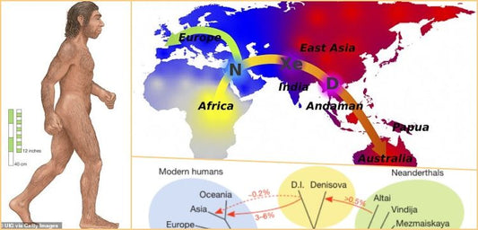 Neandertal ve Denisovan aşkı Yapay Zeka ile de kanıtlandı