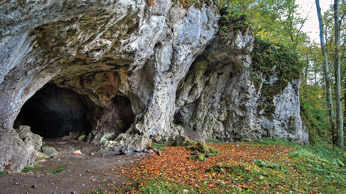 Neandertaller ve Modern İnsanlar Çiftleşmeye Erken Başladı