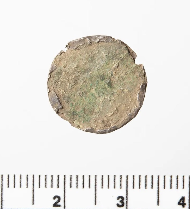 Düğme Sanılan Nesne 900 Yıllık Nadir Bir Viking Sikkesi Çıktı