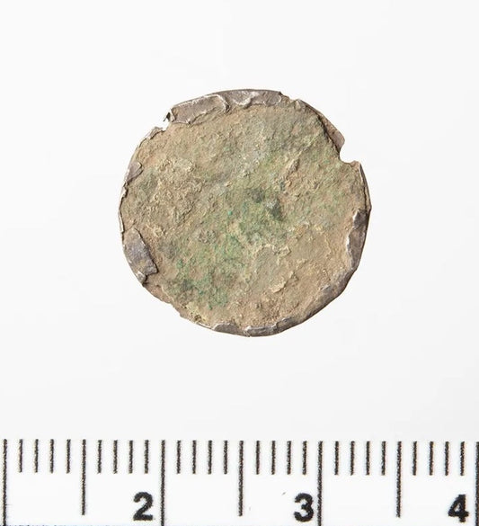 Düğme Sanılan Nesne 900 Yıllık Nadir Bir Viking Sikkesi Çıktı