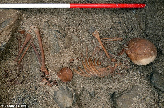 İskoçya’da 4000 Yıllık Çocuk İskeleti Bulundu
