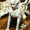 Çinli Bilginin Mezarında 1,000 Yıllık Sfenks Heykeli Bulundu