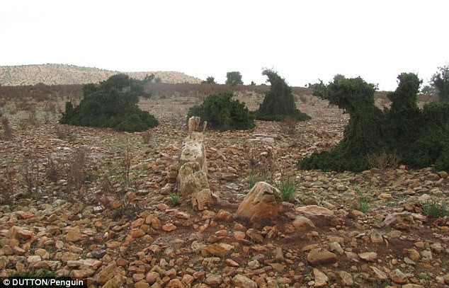 Sular Altında Aranan Kayıp Şehir Atlantis Fas’ta Olabilir
