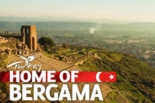Current Archaeology Konferansına Türkiye Damgası