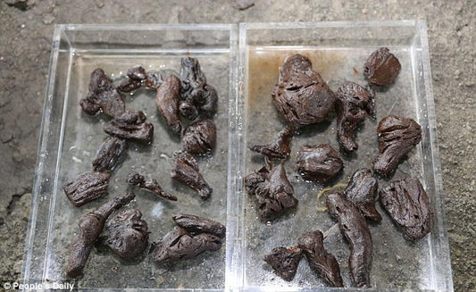 Çin’de 6,000 Yıl Önce Çay Üretildiği Kanıtlandı