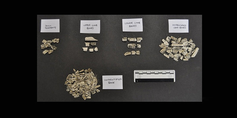 Britanya’da İlk Kez Mezolitik Dönem Yakılmış İnsan Gömüsü