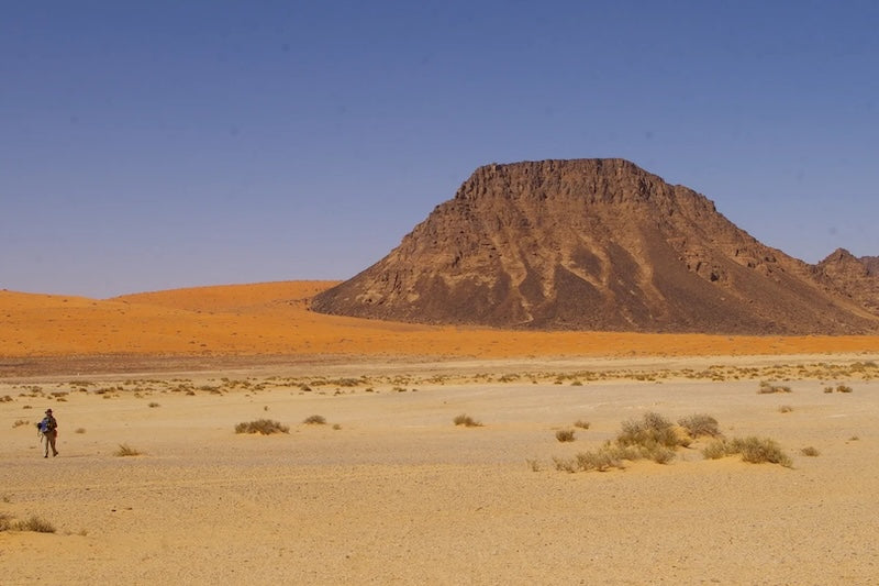Neandertaller 55.000 Yıl Önce Arabistan Çölünde miydi?