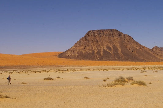 Neandertaller 55.000 Yıl Önce Arabistan Çölünde miydi?