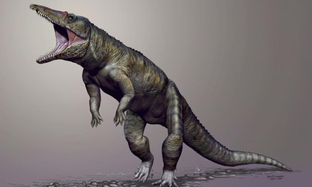 Dinozorlardan Önceki Lider Yırtıcı Timsahların Atasıydı