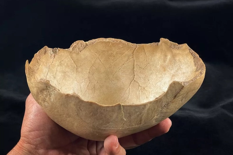 İspanya’da Neolitik Yamyamlık 1.500 Yıl Boyunca Tekrarlanmış