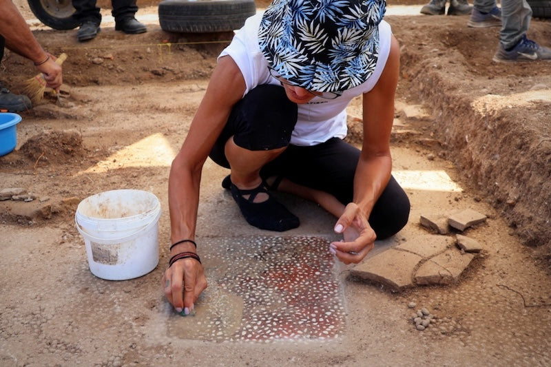 Aristoteles’in İskender’e Ders Verdiği Yerde Mozaikler Bulundu