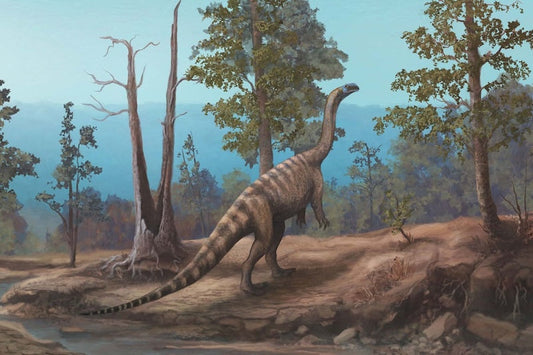 Zimbabve’de 210 Milyon Yıllık Bir Dinozor Keşfedildi