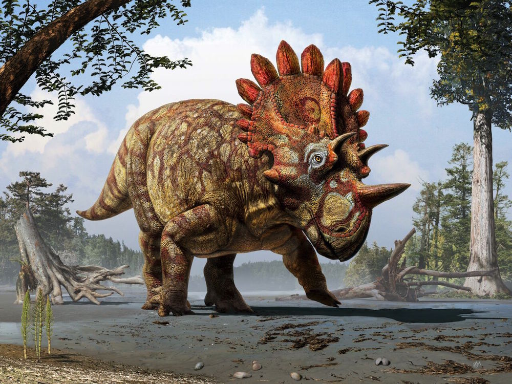 Kanada’da Tamamen Yeni Bir Dinozor Cinsi Keşfedildi