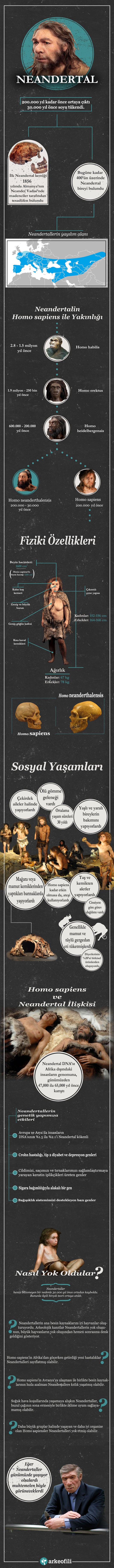 İnfografik Anlatımla Yakın Akrabamız Neandertaller
