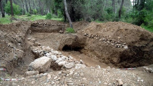 Sözde Çed Raporu Gerekmeyen Phaselis’ten Tarih Fışkırıyor