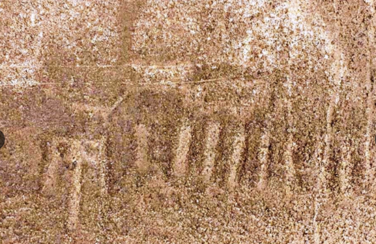 Peru’daki Nazca Çölü’nde Yeni Bir Hayvan Jeoglifi Bulundu
