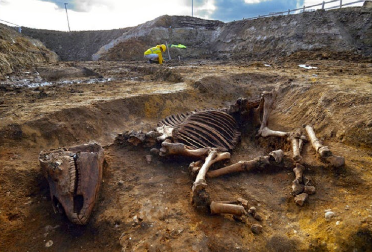 Roma Dönemi’nden Kırık Bacaklı At İskeleti Bulundu