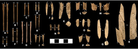 Alaska’da 13.800 Yıllık Kamp Kalıntıları Bulundu