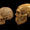 Neandertal ve Modern İnsanın Taş Alet Kültürü 100.000 Yıl Beraber Var Oldu