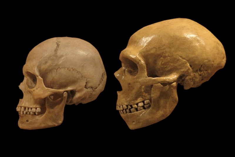 Neandertal ve Modern İnsanın Taş Alet Kültürü 100.000 Yıl Beraber Var Oldu