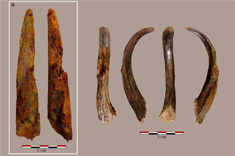 İspanya’da Bilinen En Eski Neandertal Ahşap Aleti Bulundu