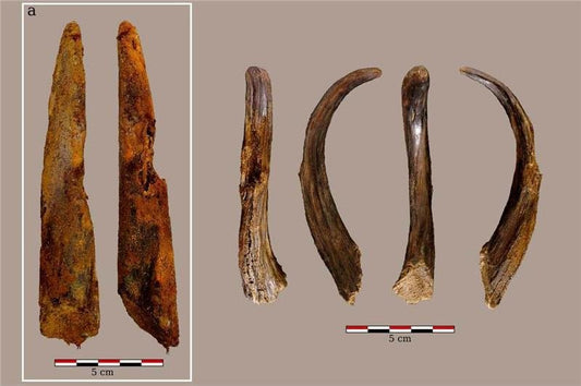 İspanya’da Bilinen En Eski Neandertal Ahşap Aleti Bulundu
