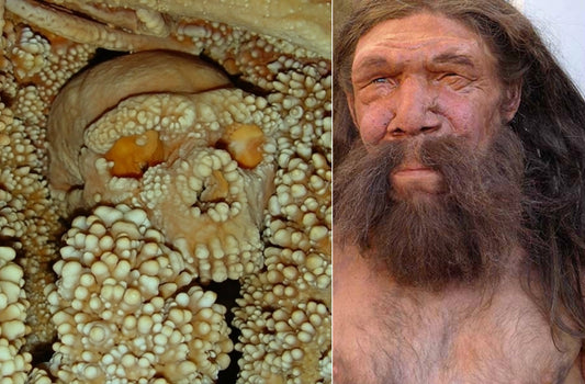 İtalya’daki Altamura Neandertali’nin Yüzü Canlandırıldı