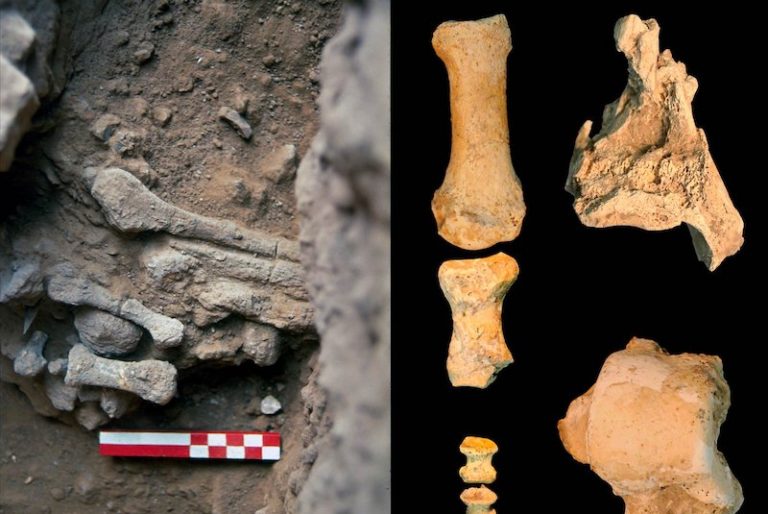 Amud 9 Adlı Neandertalin Cinsiyeti ve Kilosu Belirlendi
