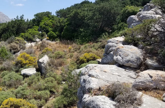 Arkaik Apollon’un Kaynağı Gizli Kalmış Mermer Ocağı Keşfedildi