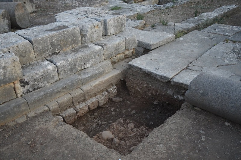 Girit’teki Apollon Tapınağında 450 Fare Adağı Bulundu