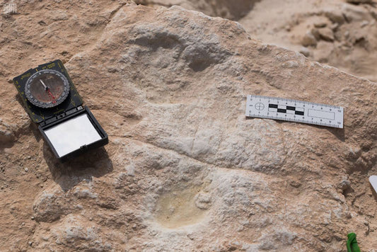 Arabistan’da 85.000 Yıllık Ayak İzleri Afrika’dan İlk Çıkışı Gösteriyor