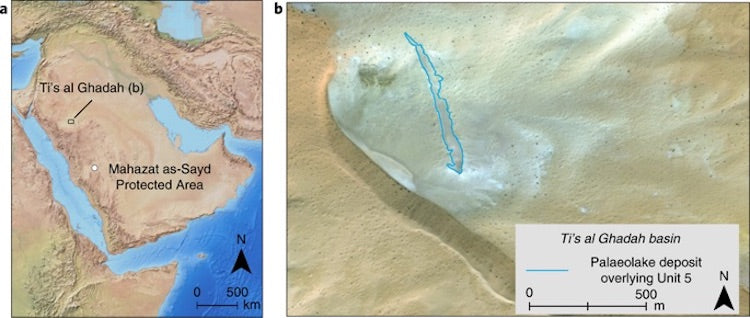 Pleistosen Homininleri Yeşil Arabistan’a Göç Ettiler