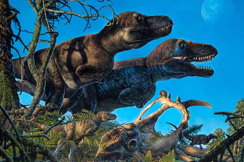 Kuzey Kutbu, Dinozorlara Ev Sahipliği Yapıyordu