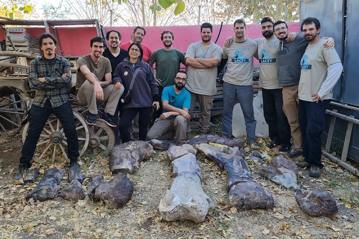 Arjantin’de Bulunan Dinozorun Kemikleri Asfalt Yolu Kırdı