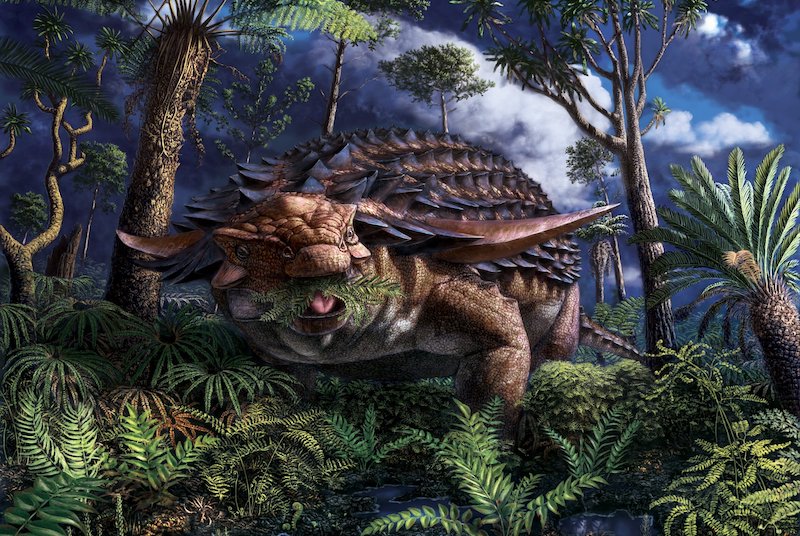 Zırhlı Dinozorun Son Akşam Yemeği Açığa Çıkıyor