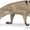Memelilerin Kolları Dinozorlardan Önce Evrimleşmeye Başladı