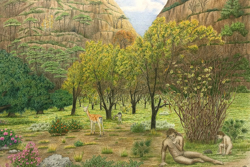 Neandertallerin Yaşam Alanı, Bulgular Işığında Resmediliyor
