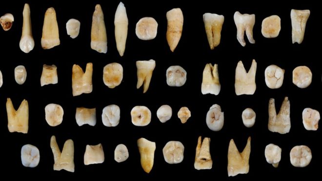 Çin’de Bulunan Dişler Modern İnsanın Afrika’dan Çıkış Tarihini Değiştirebilir