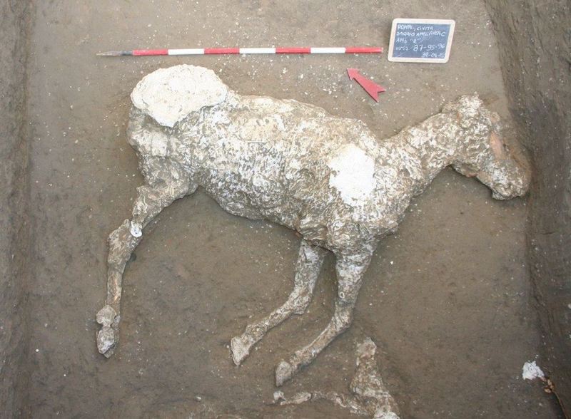 Pompeii’de Küllere Gömülmüş Bir At Keşfedildi