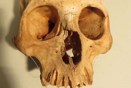 Atacama Çölü’nün İlk Çiftçileri, Ölümüne Dövüşüyordu