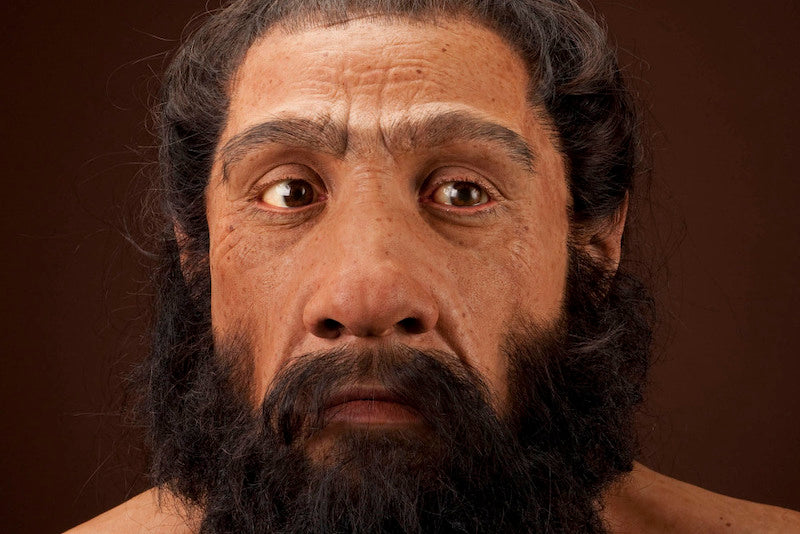 Neandertaller Kendi Ateşlerini Yakabiliyordu