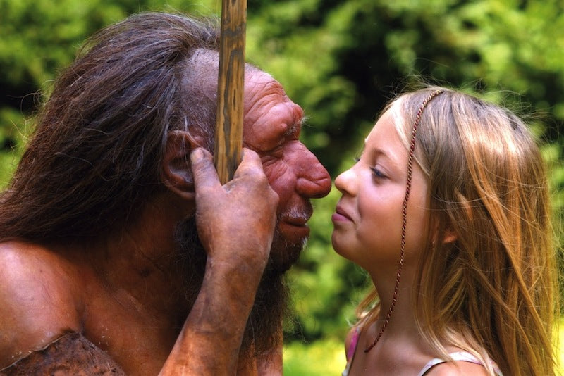 Düşük Genetik Çeşitlilik Neandertallerin Sonunu Getirdi
